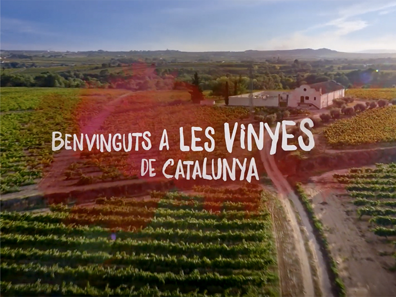 'Disfruta del enoturismo con los cinco sentidos', la campaña para promover el turismo del vino en Cataluña